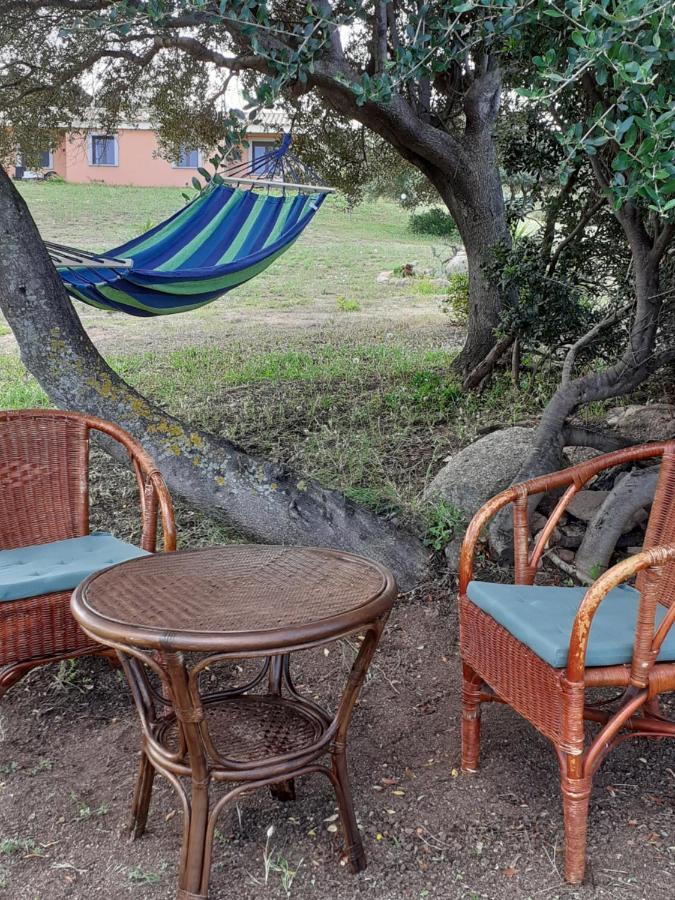 Agriturismo Gli Olivastri Appartamento Raggio Di Sole , Con Piscina E Vista Mare ,Climatizzatore,Wifi أغلينتو المظهر الخارجي الصورة