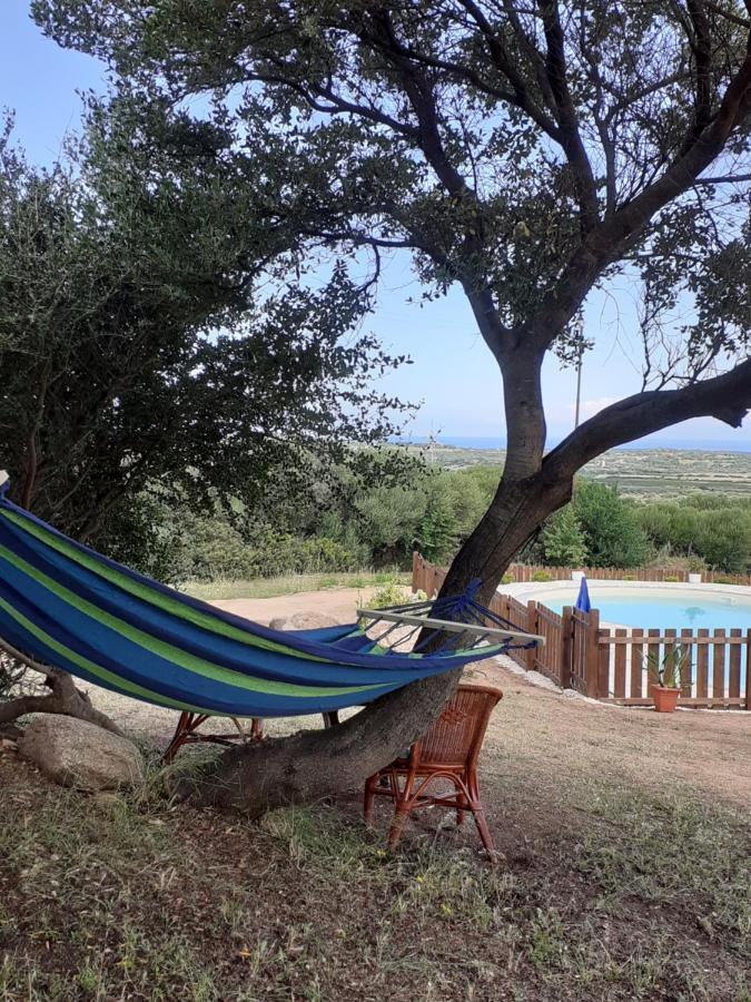 Agriturismo Gli Olivastri Appartamento Raggio Di Sole , Con Piscina E Vista Mare ,Climatizzatore,Wifi أغلينتو المظهر الخارجي الصورة