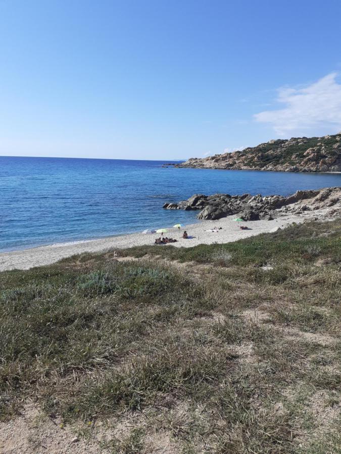 Agriturismo Gli Olivastri Appartamento Raggio Di Sole , Con Piscina E Vista Mare ,Climatizzatore,Wifi أغلينتو المظهر الخارجي الصورة