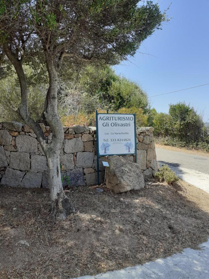 Agriturismo Gli Olivastri Appartamento Raggio Di Sole , Con Piscina E Vista Mare ,Climatizzatore,Wifi أغلينتو المظهر الخارجي الصورة
